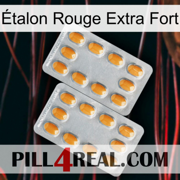 Étalon Rouge Extra Fort cialis4.jpg